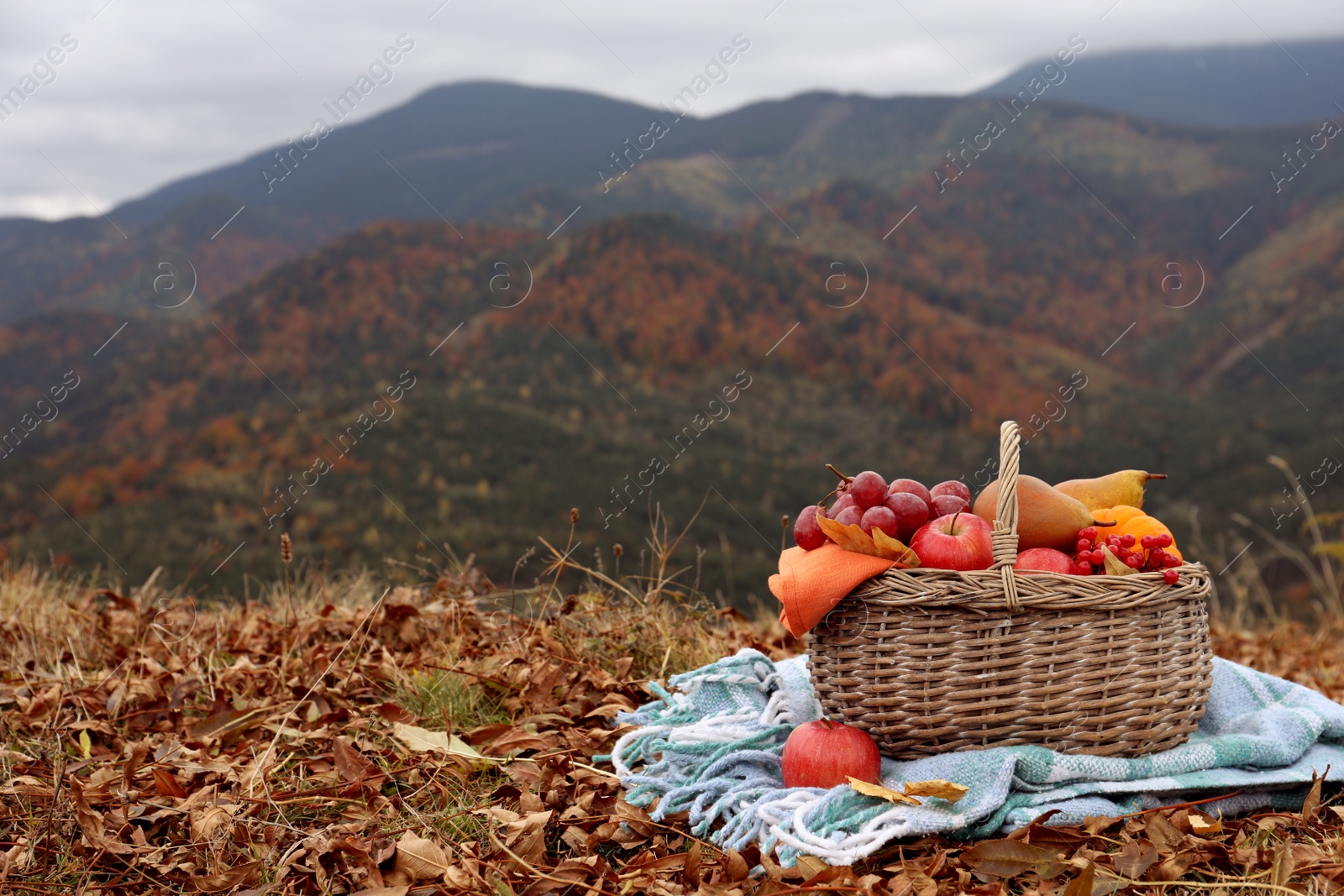 Photo of Wicker picnic basket with fruits and plaid on autumn leaves in mountains, space for text