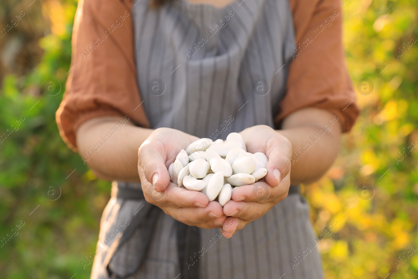 Photo of Woman holding white beans in hands outdoors, closeup