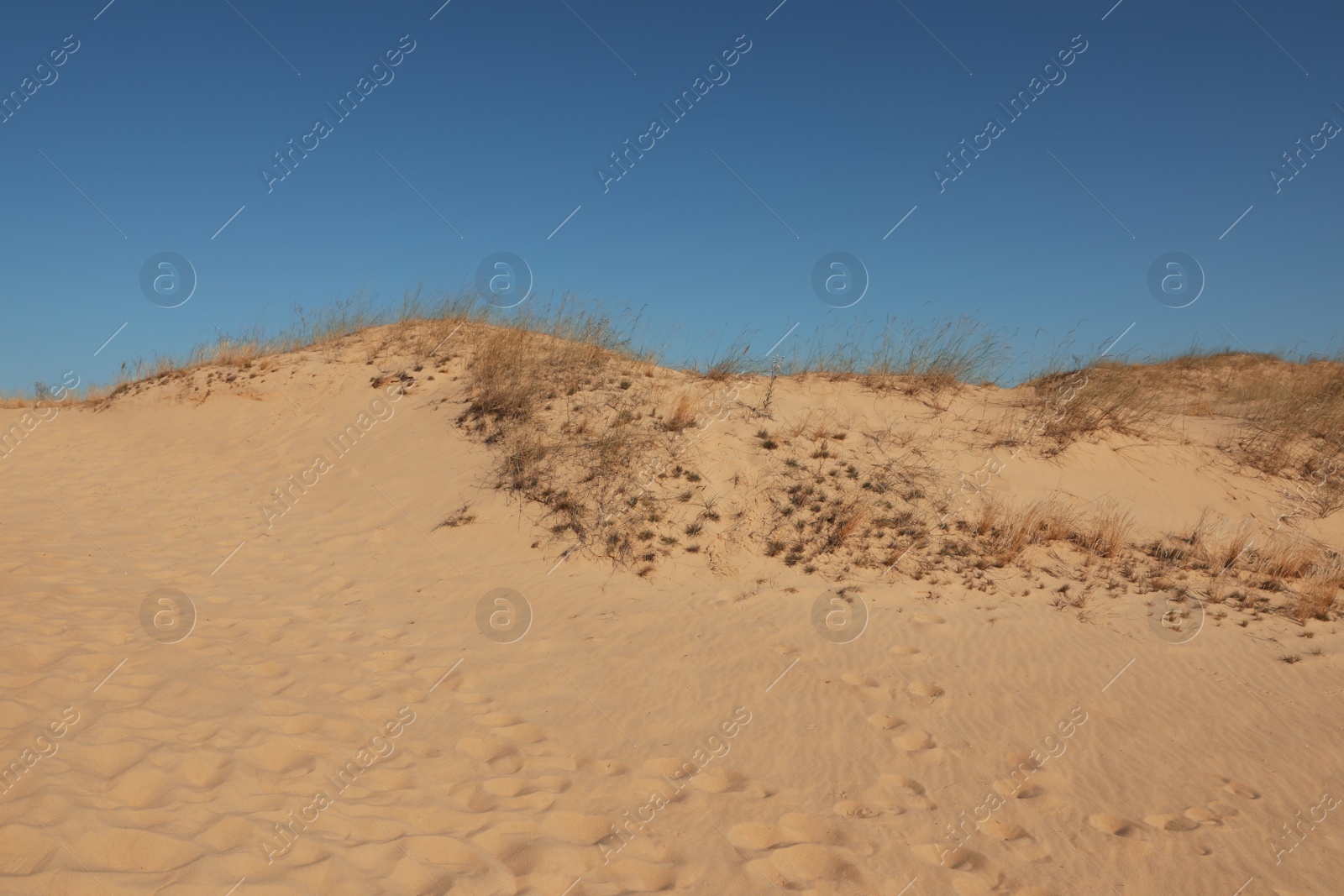 Photo of Picturesque view of desert on sunny day