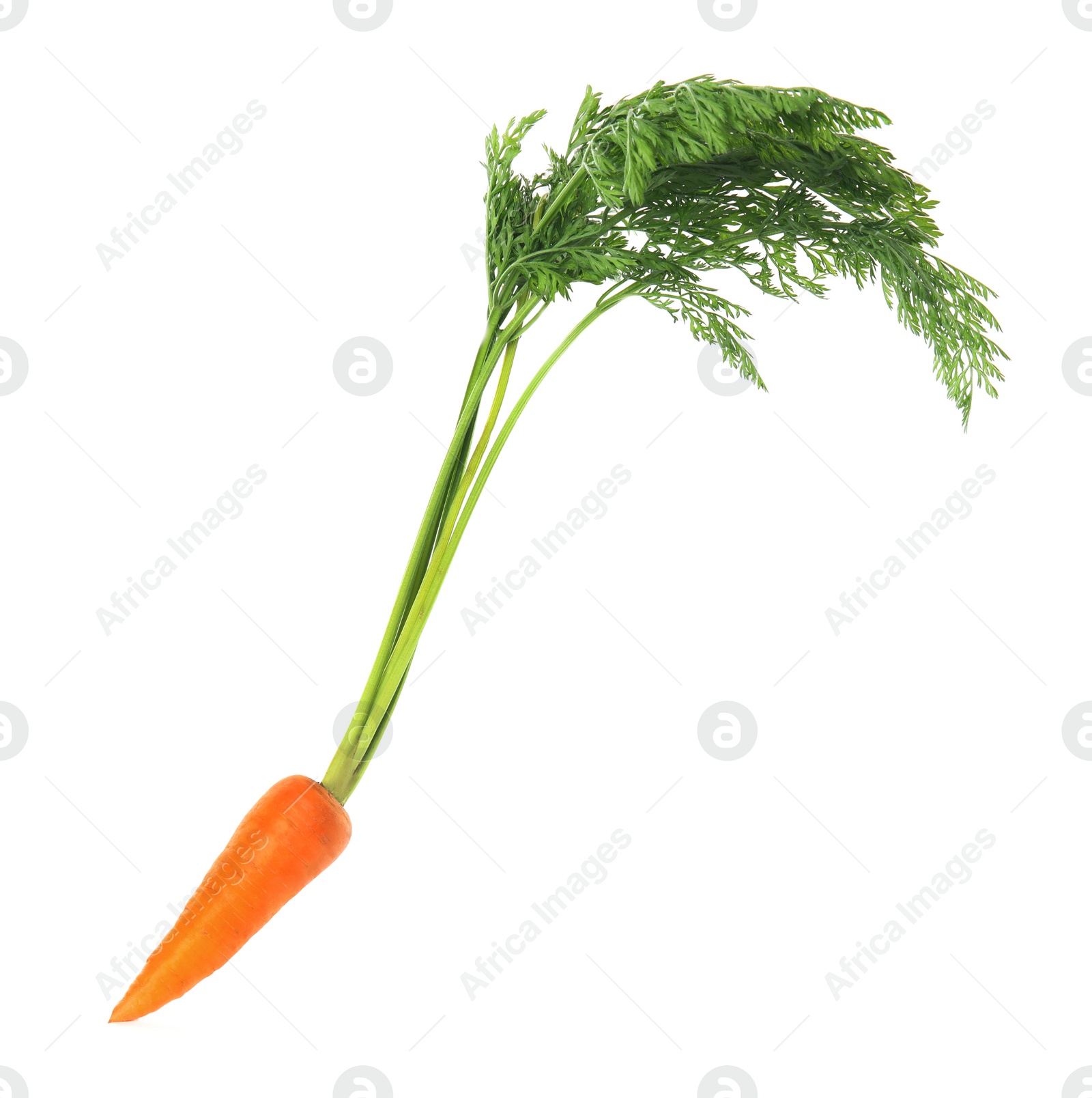 Photo of Fresh ripe juicy carrot isolated on white