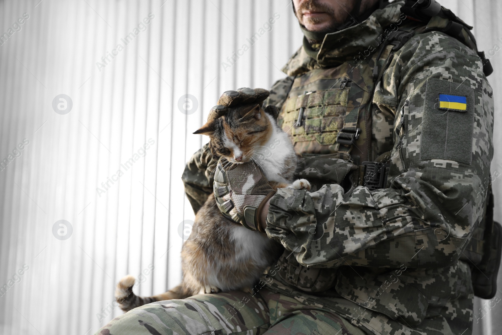 Photo of Ukrainian soldier with stray cat against light background, closeup. Space for text