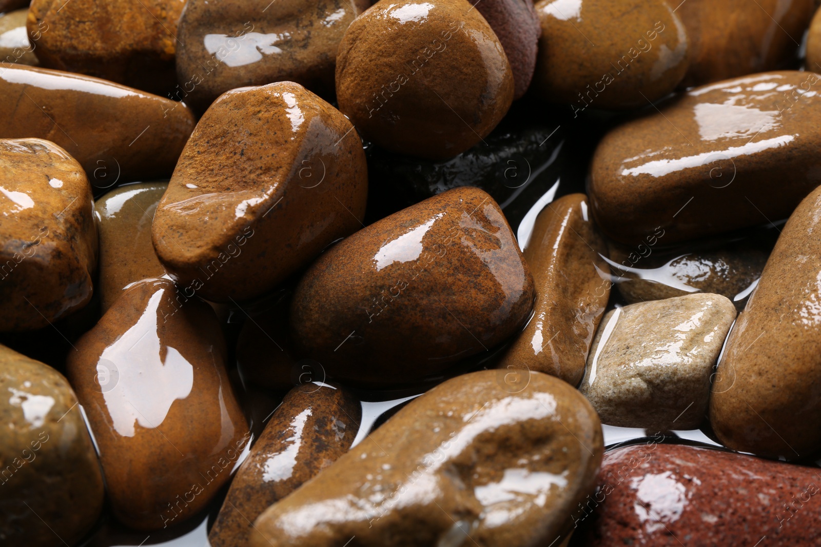 Photo of Beautiful pebbles in water as background, closeup