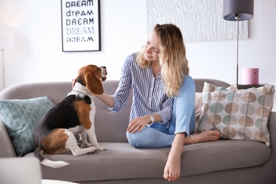 Photo of Young woman with her dog on sofa at home