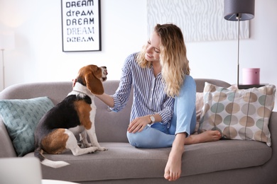 Young woman with her dog on sofa at home