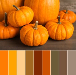 Palette of autumn colors and fresh ripe pumpkins on wooden table