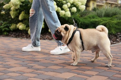 Woman walking with her cute pug outdoors, closeup