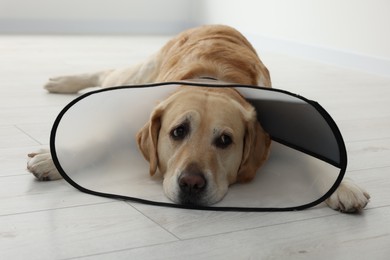Photo of Sad Labrador Retriever with protective cone collar lying on floor indoors