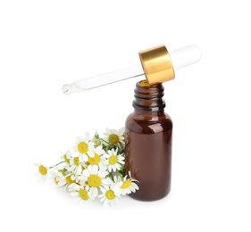 Bottle of essential oil with dropper and fresh chamomiles isolated on white