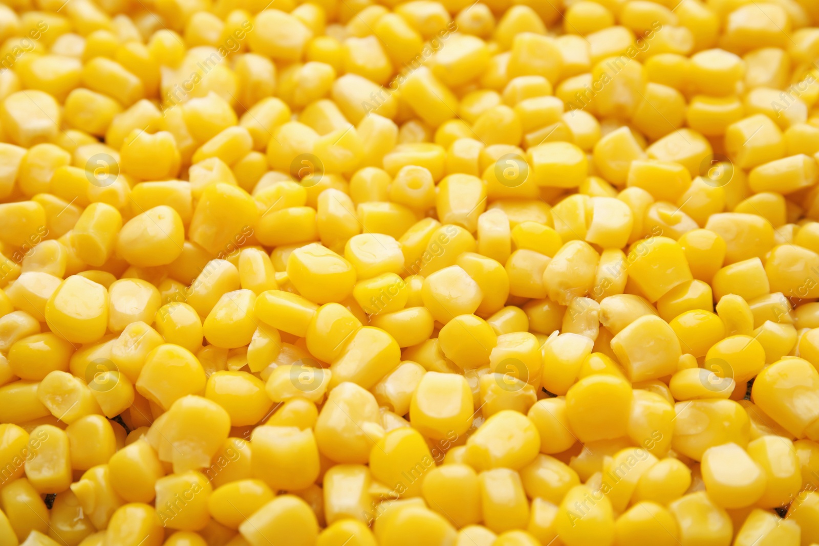 Photo of Tasty ripe corn kernels as background, closeup