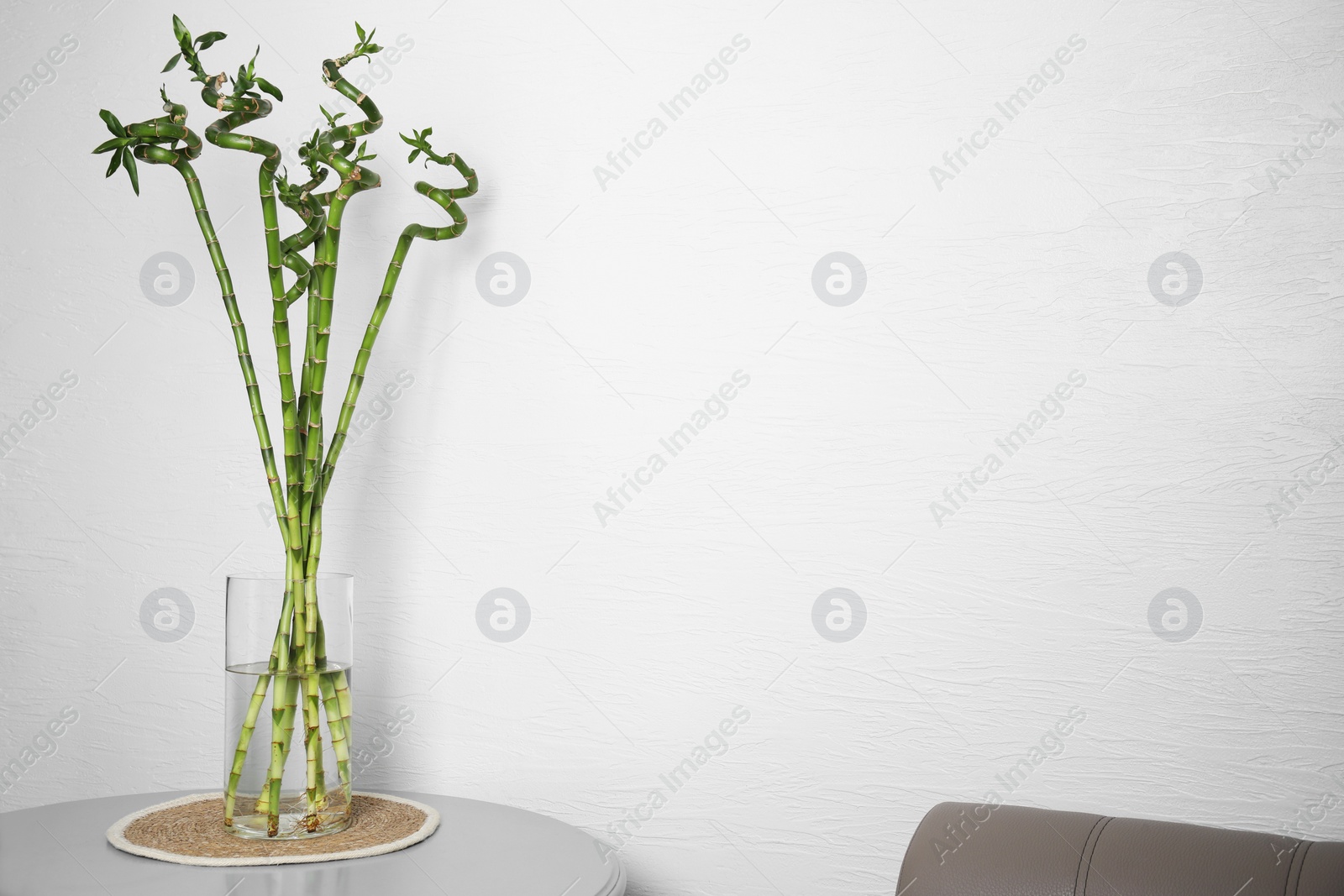 Photo of Vase with beautiful green bamboo stems on light grey table indoors. Space for text