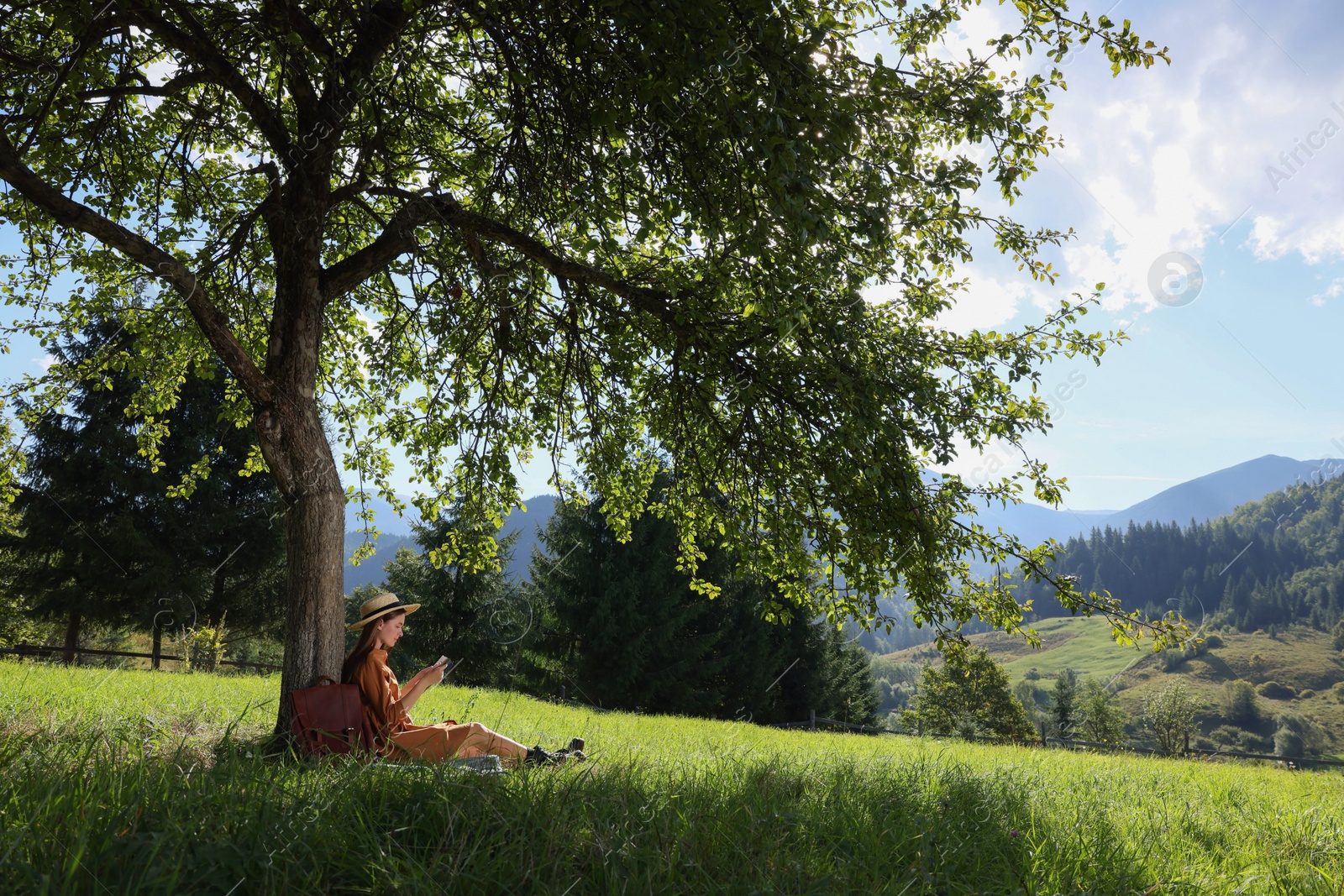 Photo of Young woman reading book under tree on meadow in mountains