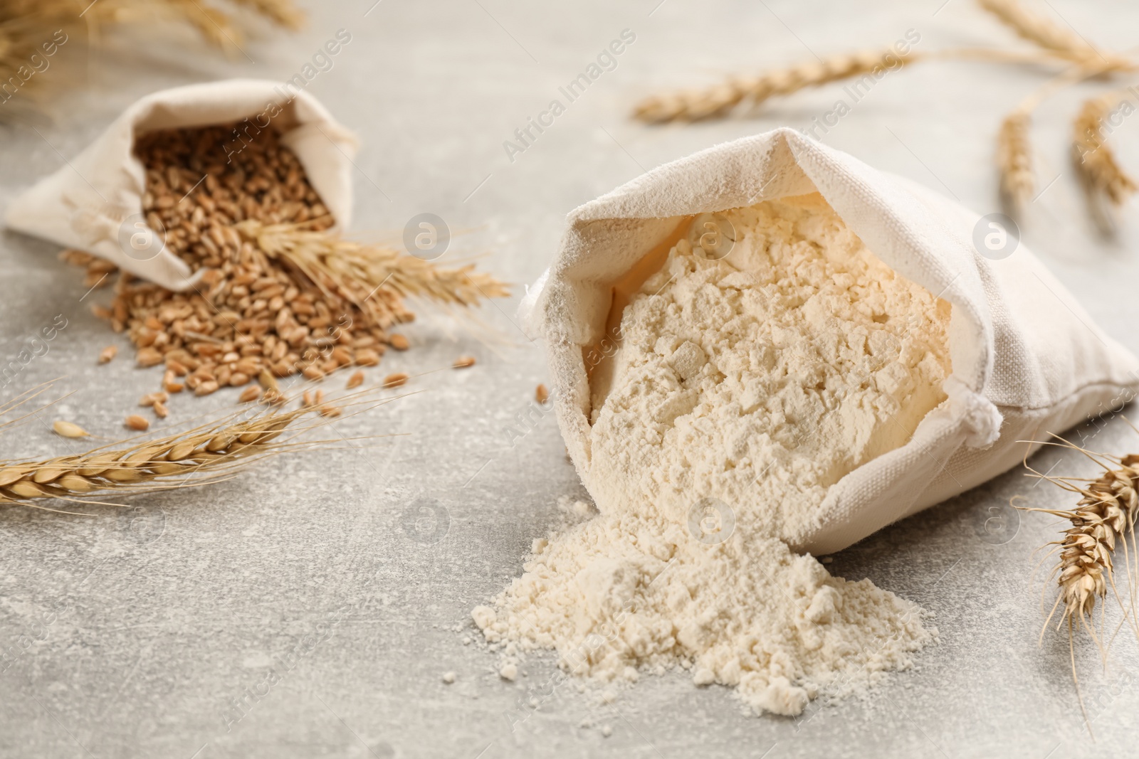 Photo of Sack of flour and wheat ears on light grey table