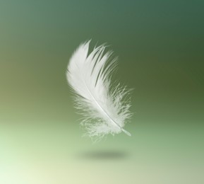 Image of Fluffy bird feather falling on color background