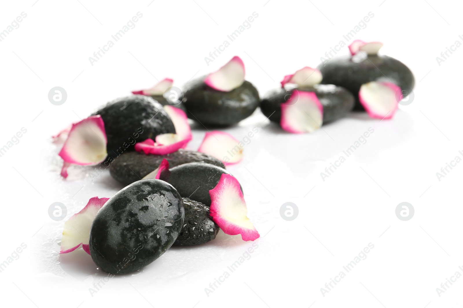 Photo of Composition with wet spa stones on white background