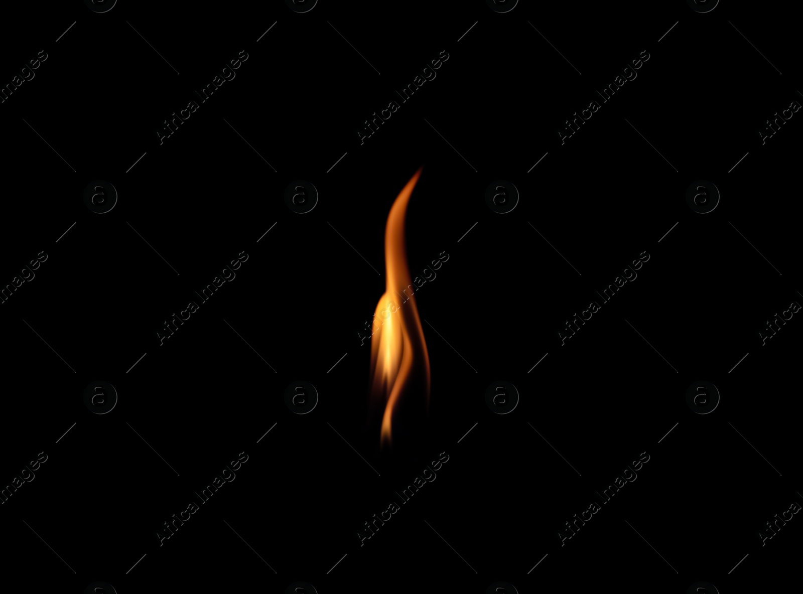 Photo of Beautiful bright fire flame on black background