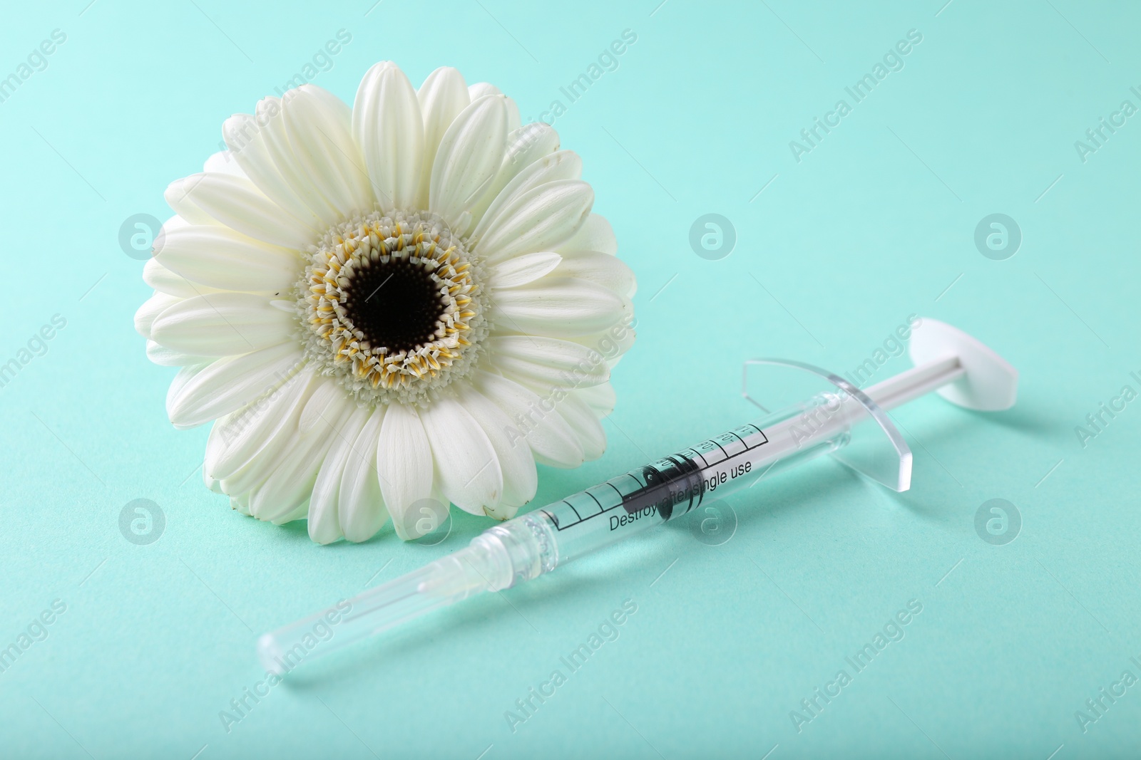 Photo of Cosmetology. Medical syringe and gerbera flower on turquoise background