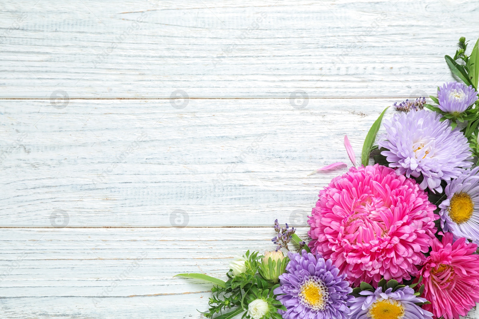 Photo of Flat lay composition with beautiful aster flowers on white wooden table. Space for text