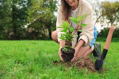 Woman planting young green tree in garden, closeup. Space for text