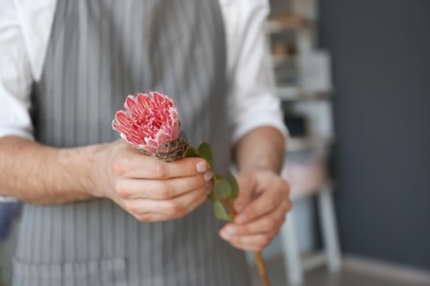 Male florist holding beautiful flower, closeup