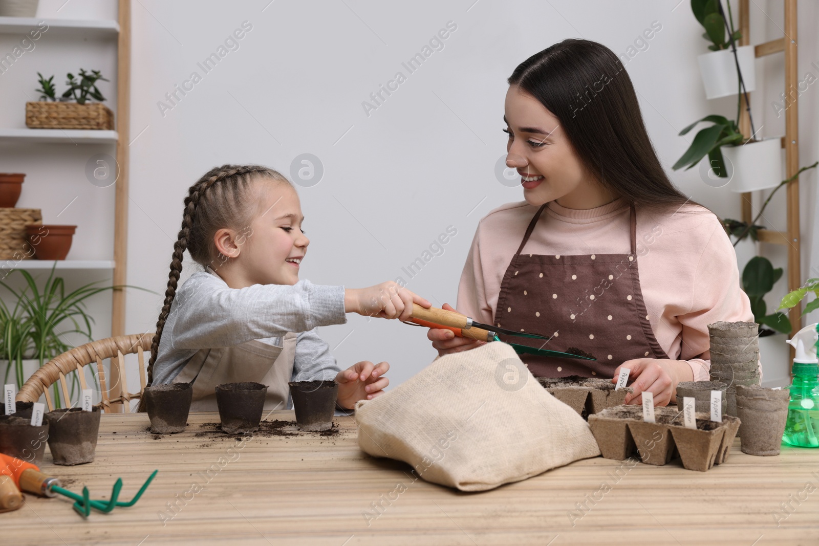 Photo of Mother and her daughter filling pots with soil at wooden table indoors. Growing vegetable seeds