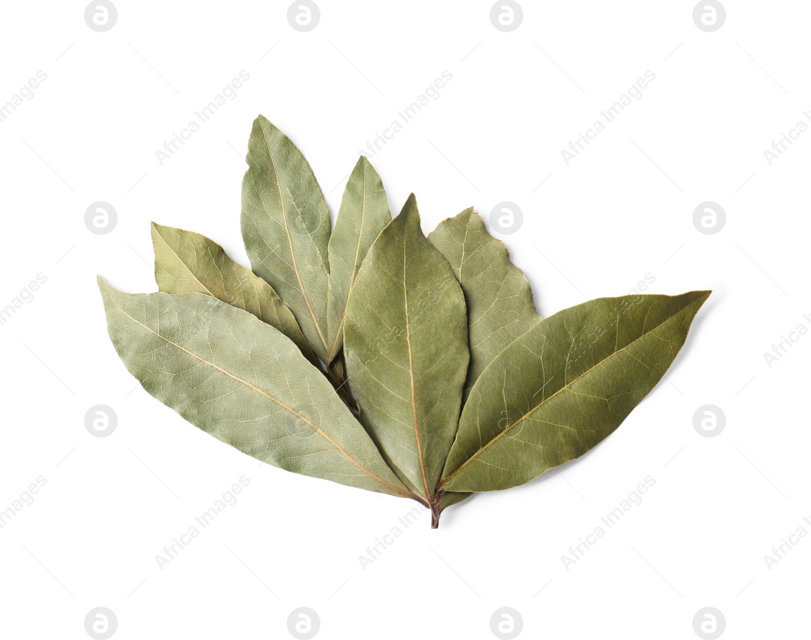 Photo of Pile of aromatic bay leaves on white background, top view