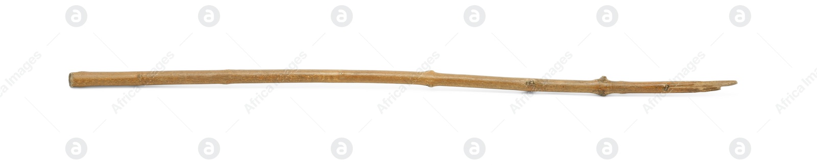 Photo of One old wooden stick isolated on white