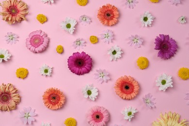 Photo of Flat lay composition with different beautiful flowers on pale pink background