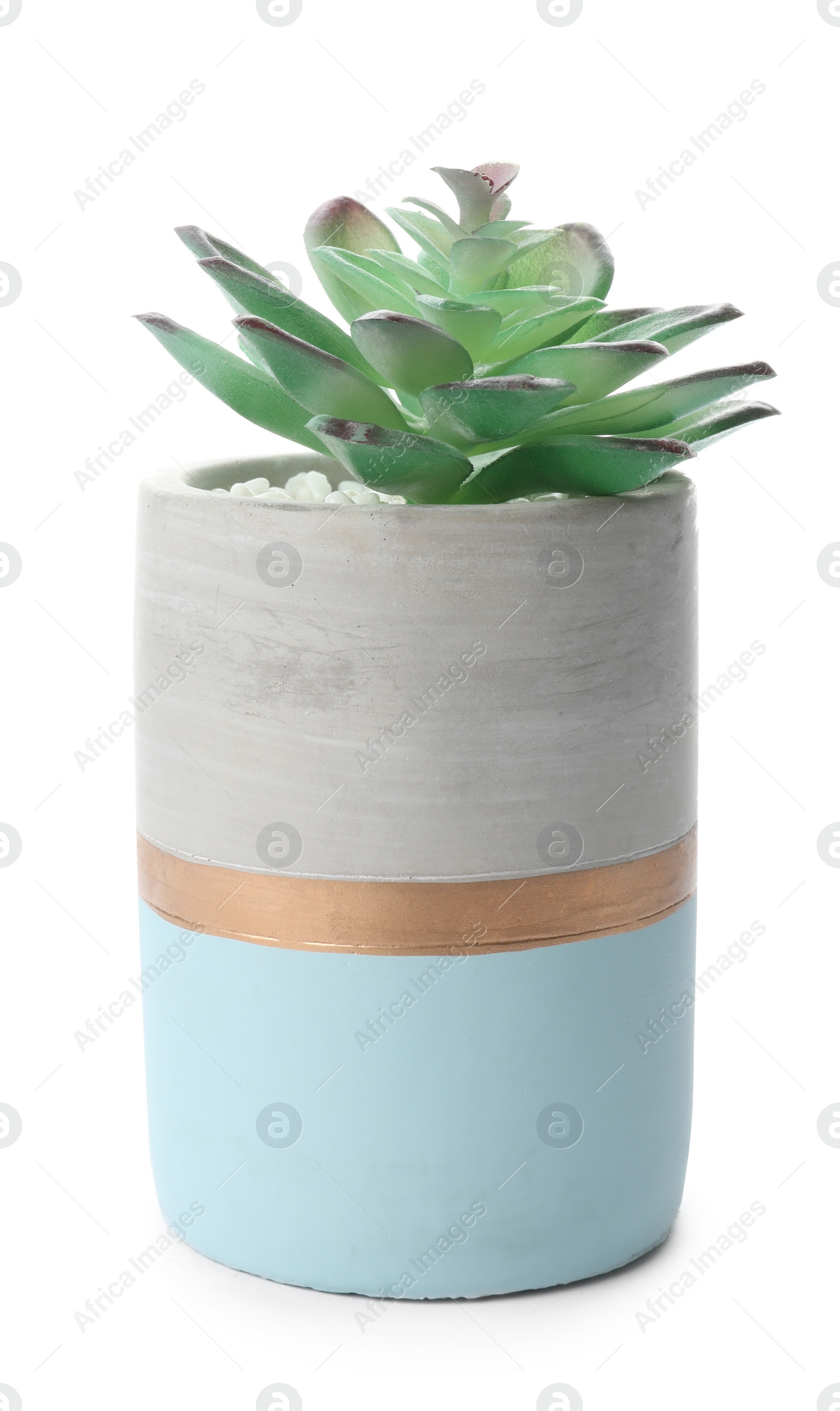 Photo of Beautiful artificial plant in flower pot isolated on white