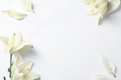Image of Frame of beautiful lily flowers on white background, flat lay. Space for text