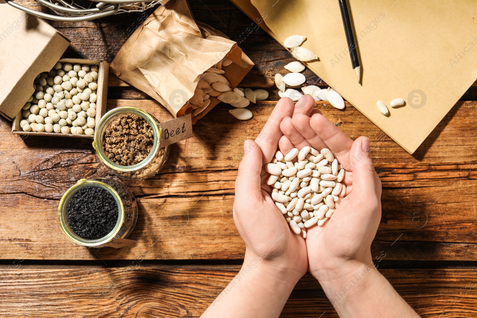 Photo of Woman with vegetable seeds at wooden table, top view
