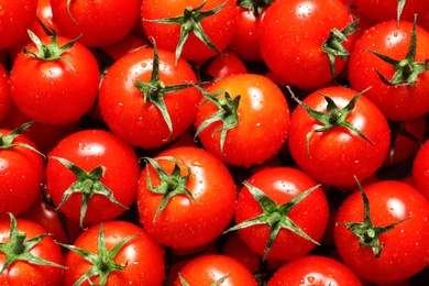 Photo of Delicious ripe cherry tomatoes with water drops as background, above view