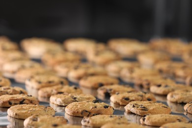 Many delicious cookies on production line, closeup