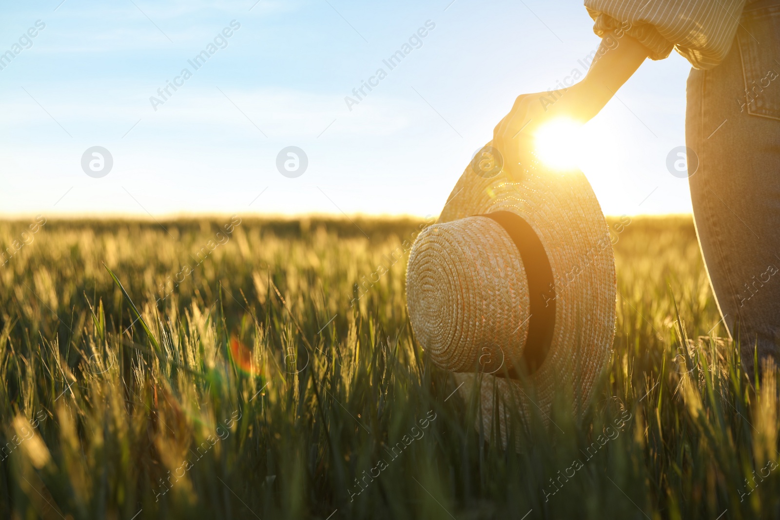 Photo of Woman in field with unripe spikes on sunny day, closeup