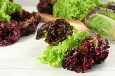 Photo of Different sorts of lettuce on white wooden table