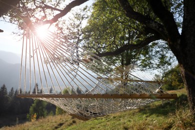 Photo of Comfortable net hammock outdoors on sunny day