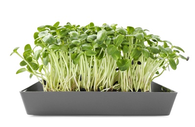 Photo of Fresh organic microgreen in soil on white background