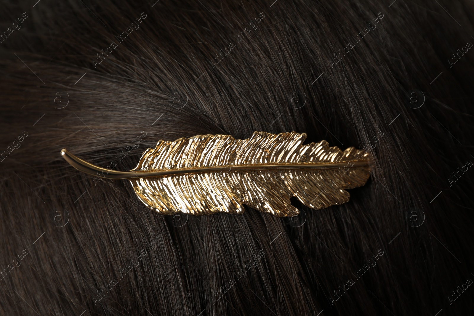 Photo of Woman with beautiful gold hair clip, closeup