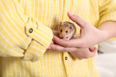 Photo of Woman holding cute little hamster, closeup view