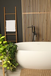 Spa day. Stylish bathroom interior with ceramic tub and green houseplants