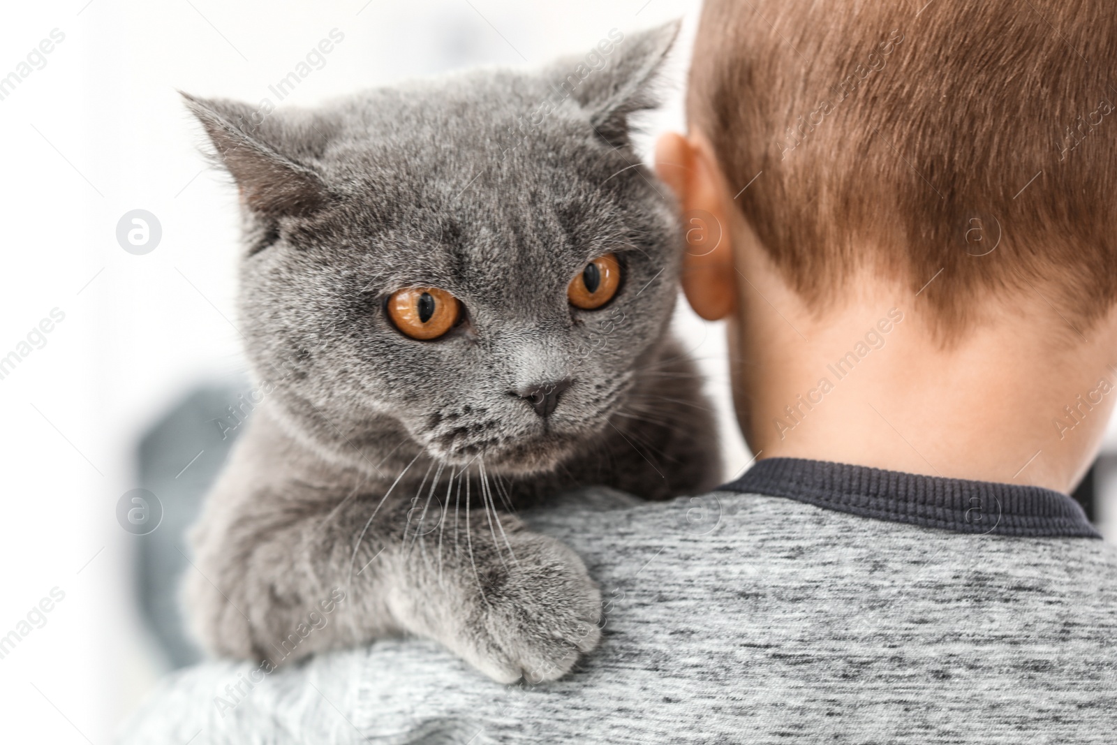 Photo of Little child holding cute cat at home