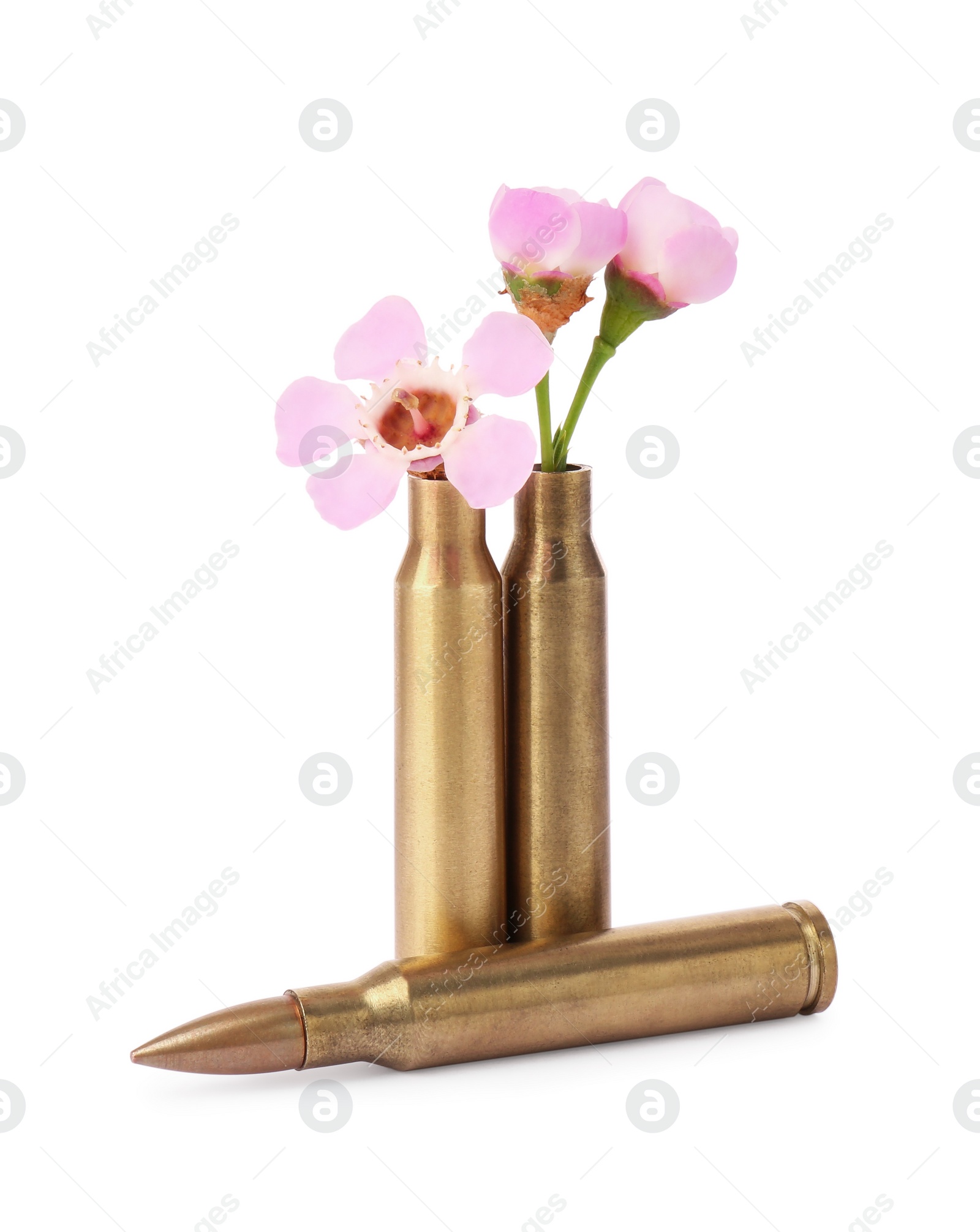 Photo of Bullet and cartridge cases with beautiful flowers isolated on white