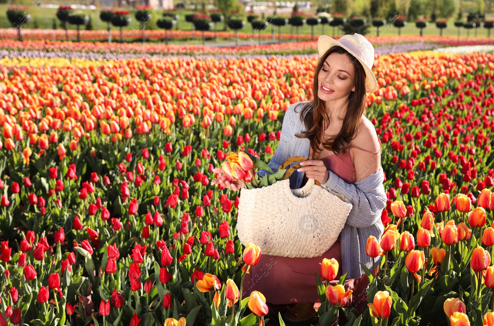 Photo of Woman in beautiful tulip field on sunny day