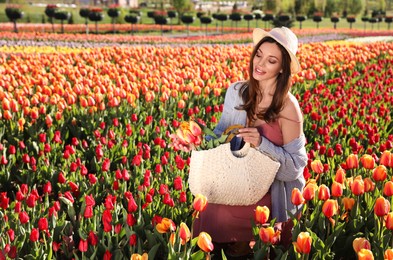 Photo of Woman in beautiful tulip field on sunny day