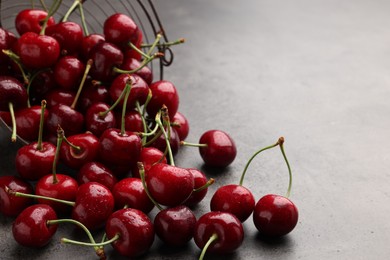 Photo of Many sweet cherries on grey table, space for text