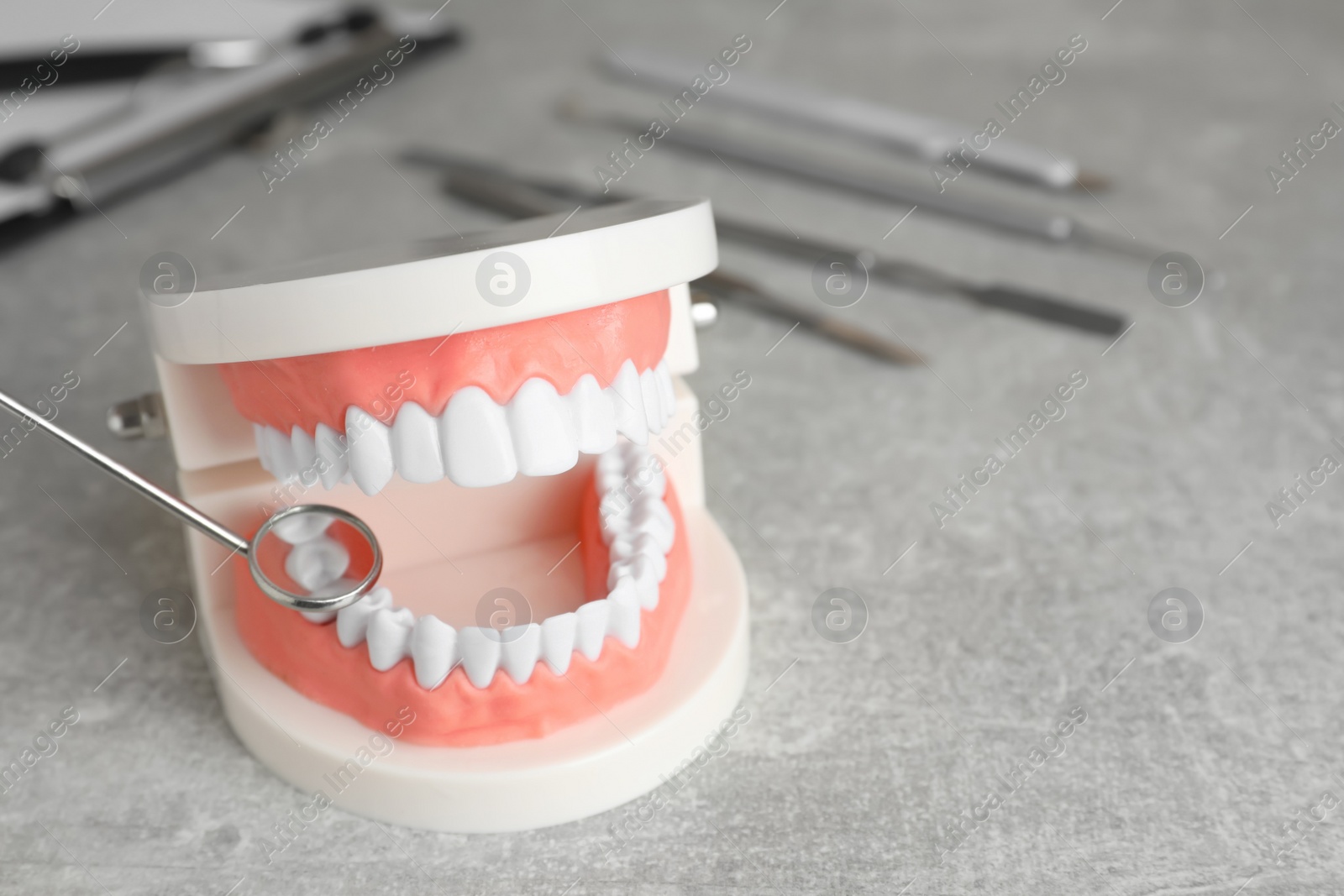 Photo of Model of jaw with teeth and dentist mirror on grey table, closeup. Space for text