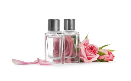 Bottles of essential oils and roses on white background