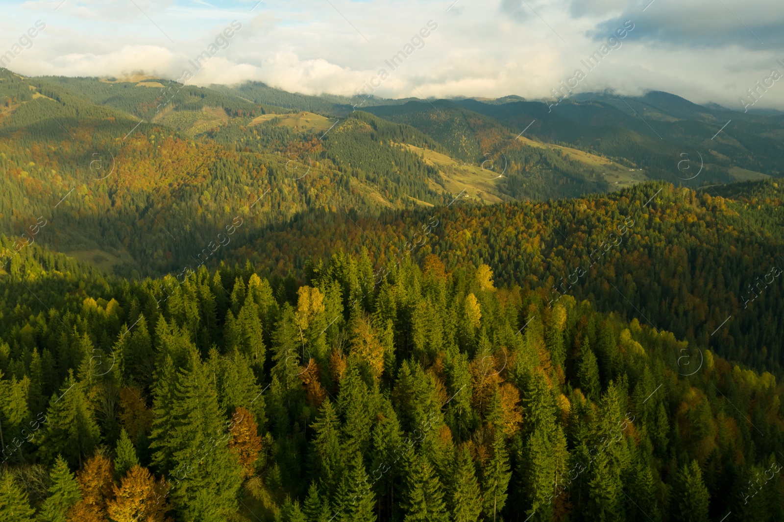 Image of Aerial view of beautiful mountain landscape with forest on sunny day