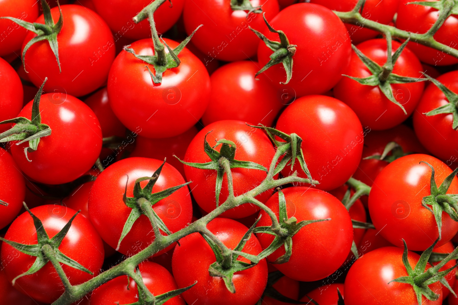 Photo of Fresh organic cherry tomatoes as background, closeup