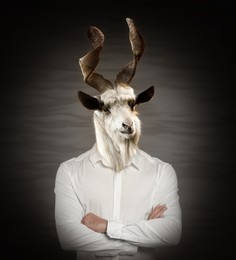 Image of Portrait of businessman with goat face on dark background