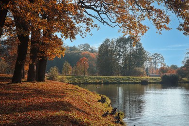Picturesque view of park with beautiful trees and lake. Autumn season